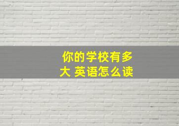 你的学校有多大 英语怎么读